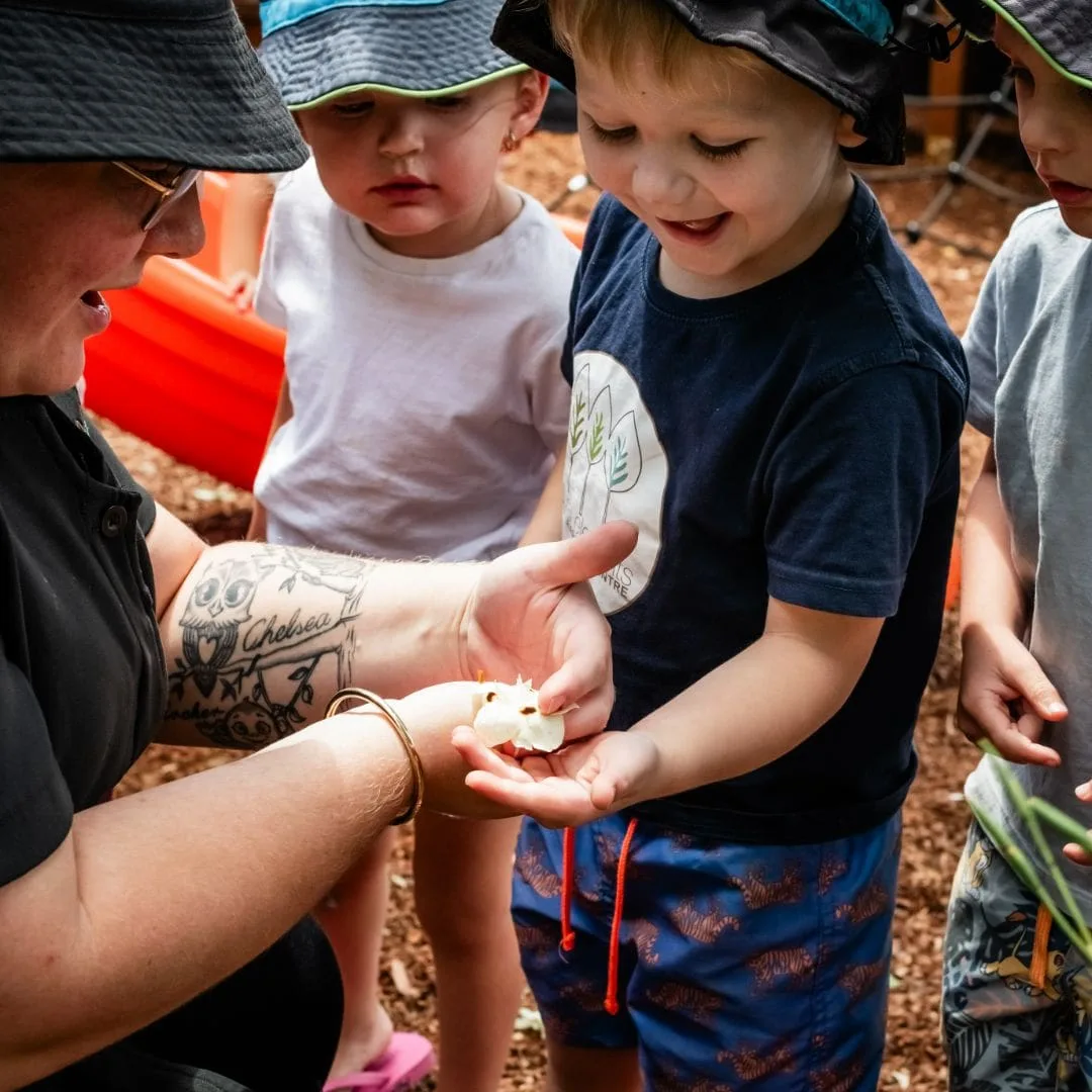 Children hand-feeding the centre chickens with their educator