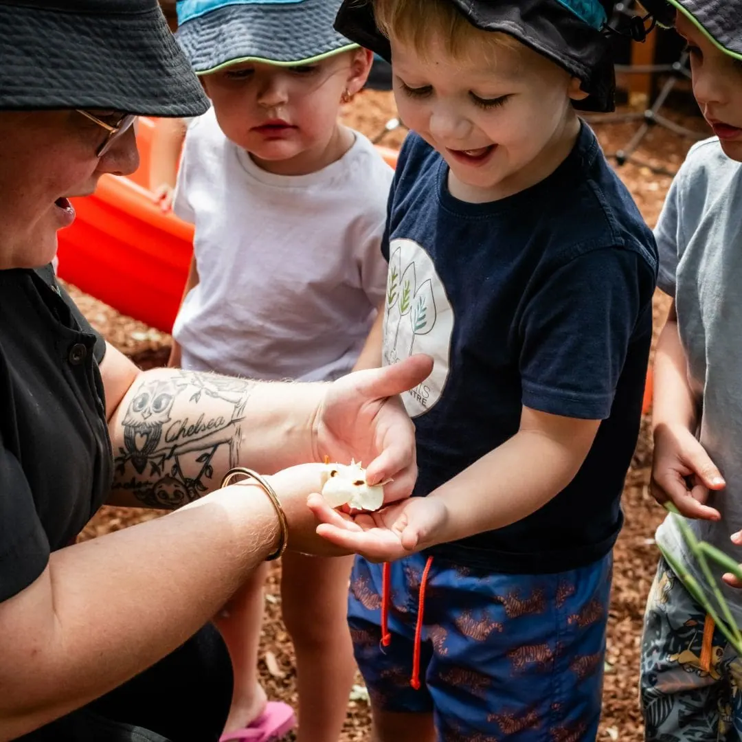 Children's hands exploring natural materials in the native garden at Natural Elements Eagleby